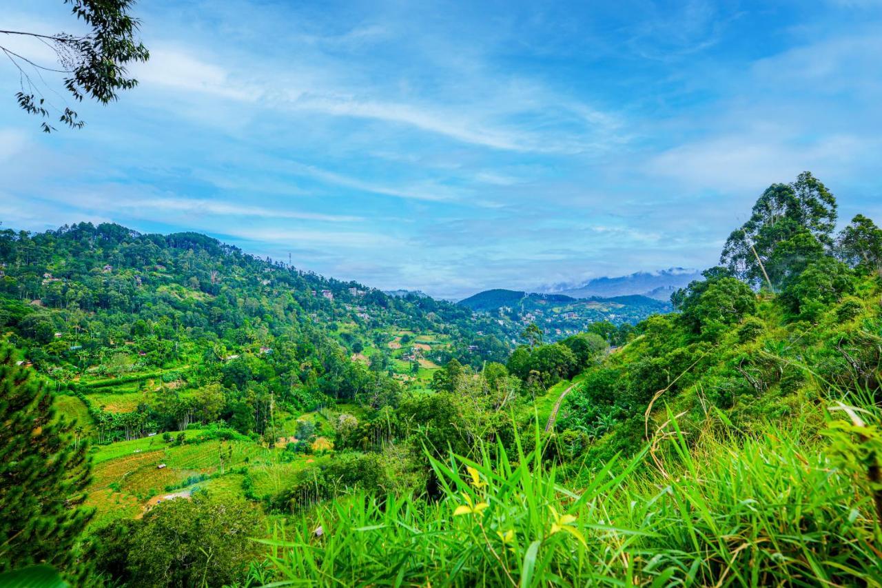 Astral Zone Cottage Ella Ngoại thất bức ảnh
