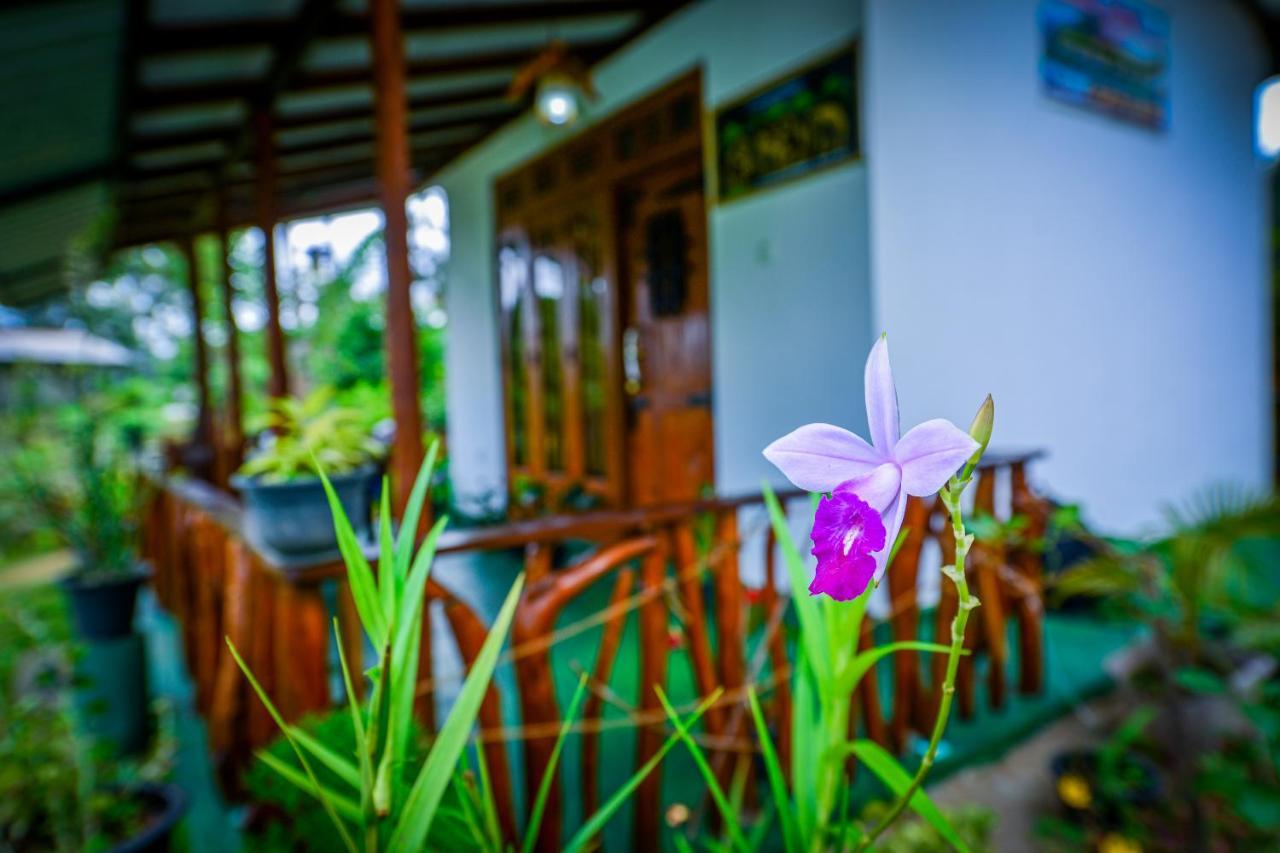 Astral Zone Cottage Ella Ngoại thất bức ảnh